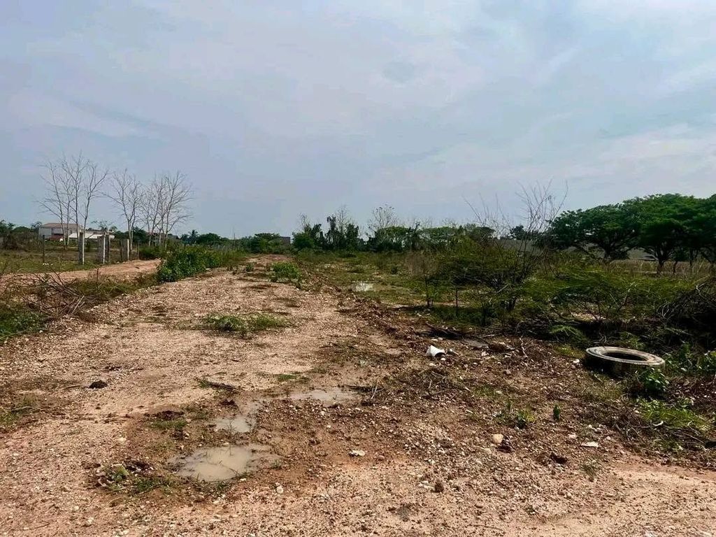 ads/2026/09/21/1191-230804-13f89afd.jpg