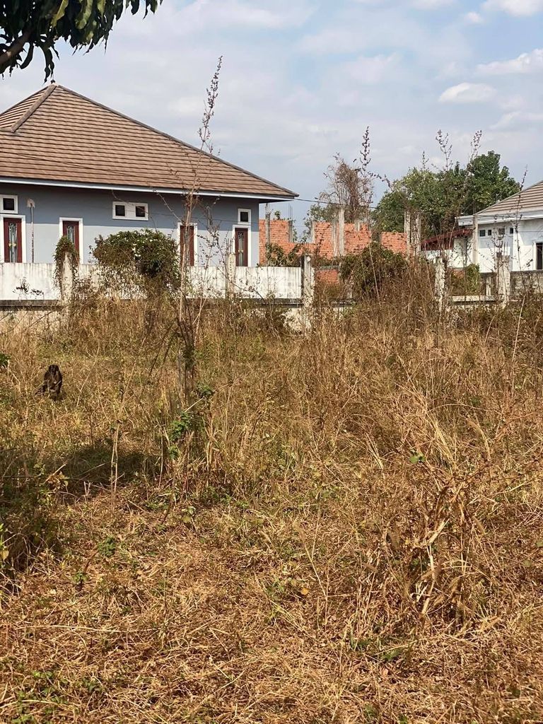 ads/2026/10/11/2265-231143-871c6029.jpg