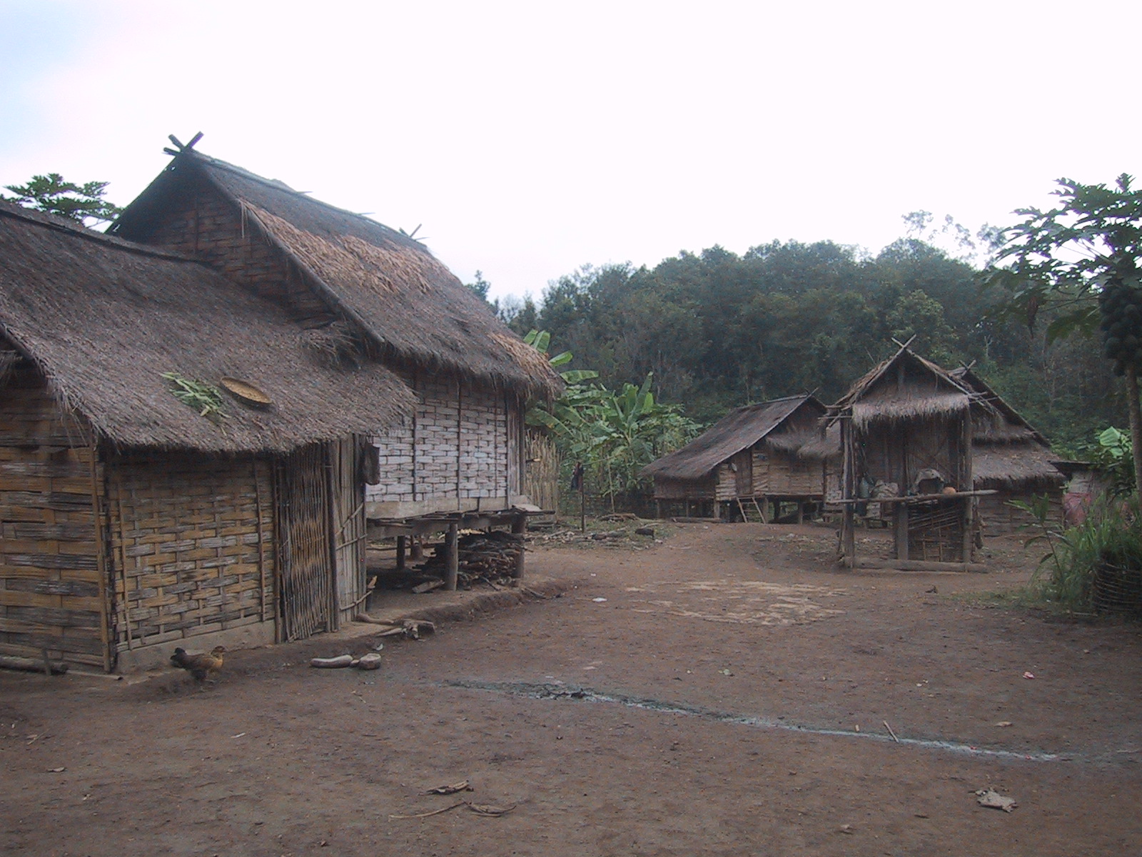 A traditional wooden house on stilts in rural Laos