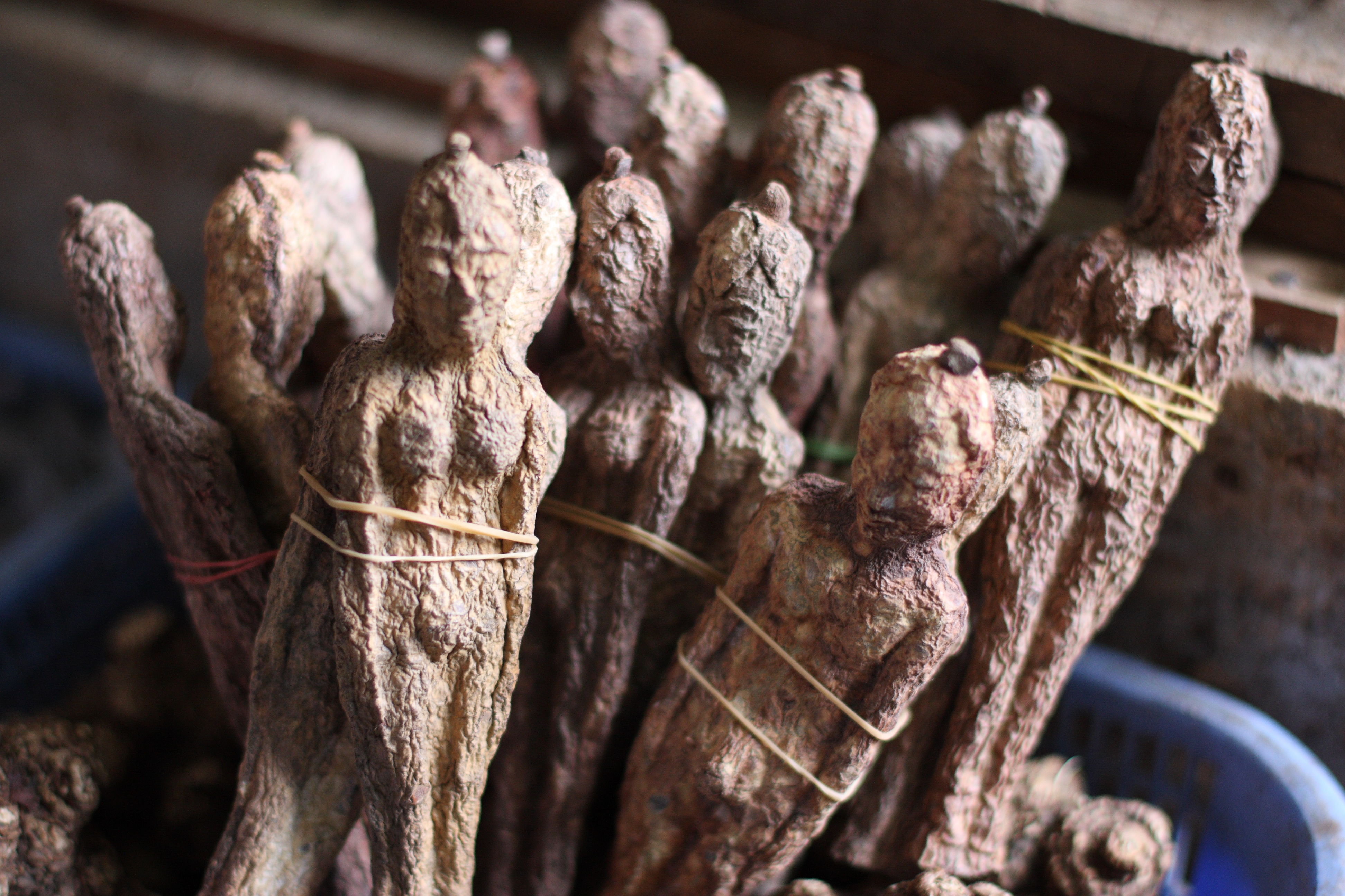 Furnishing Your Home in Laos: Where to Buy Furniture and Appliances