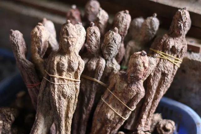 Furnishing Your Home in Laos: Where to Buy Furniture and Appliances